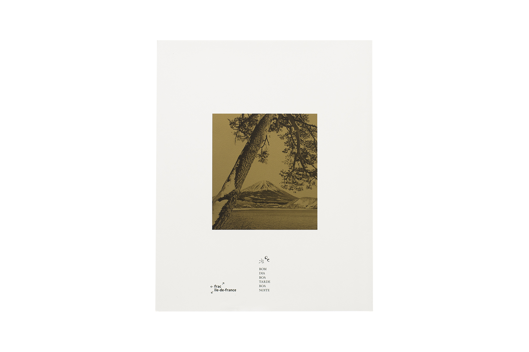 Product image of VOL. XVI