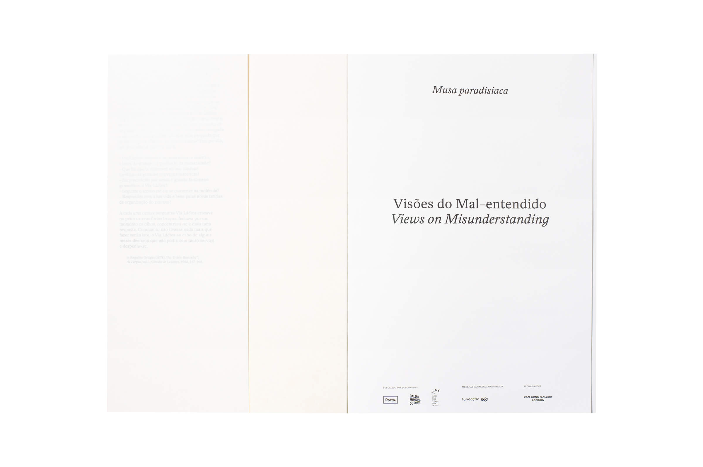 Product image of Views on Misunderstanding