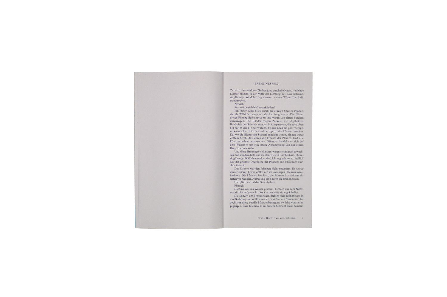 Product image of Gina, ein zuständiger Roman