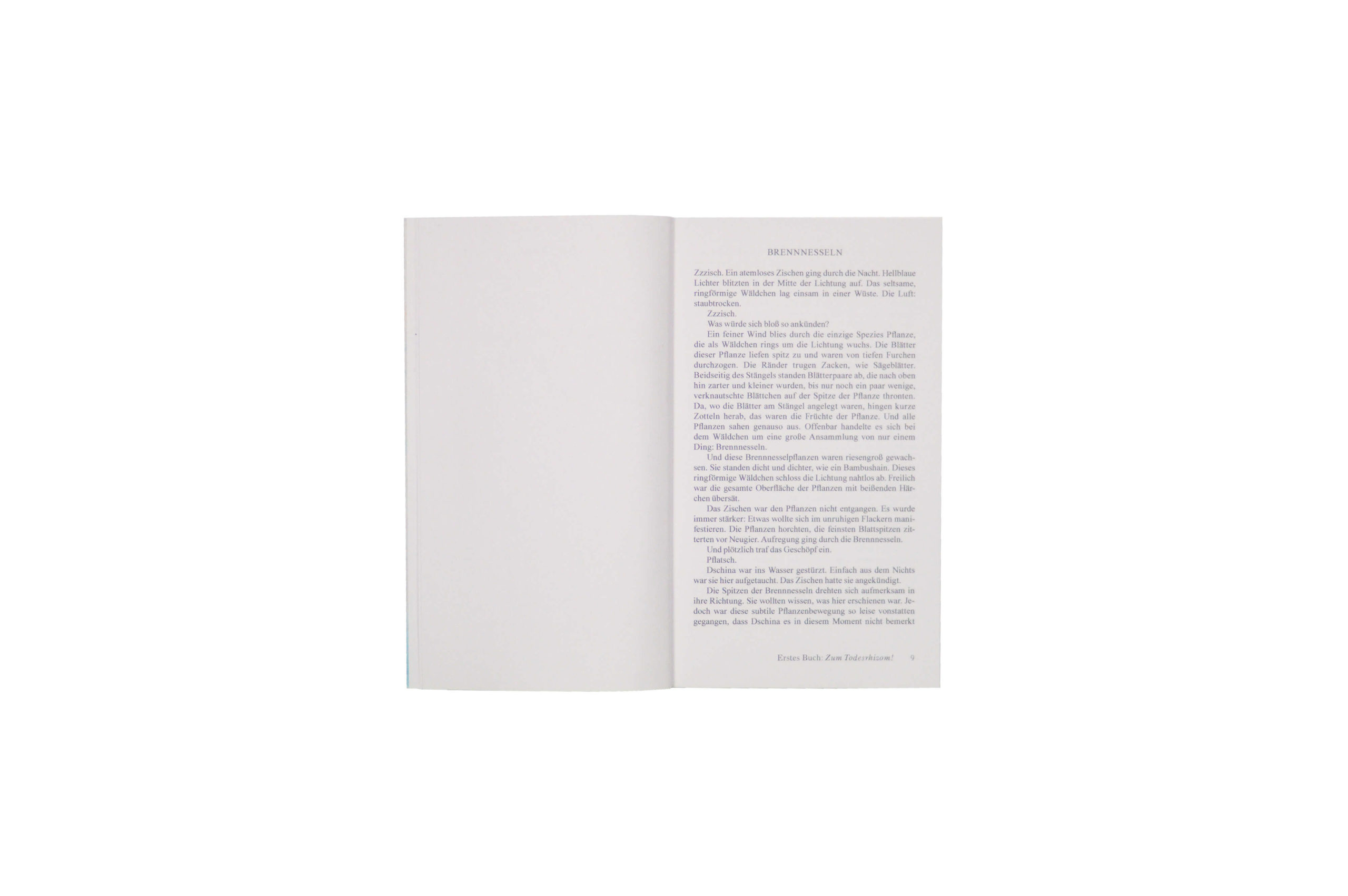 Product image of Gina, ein zuständiger Roman