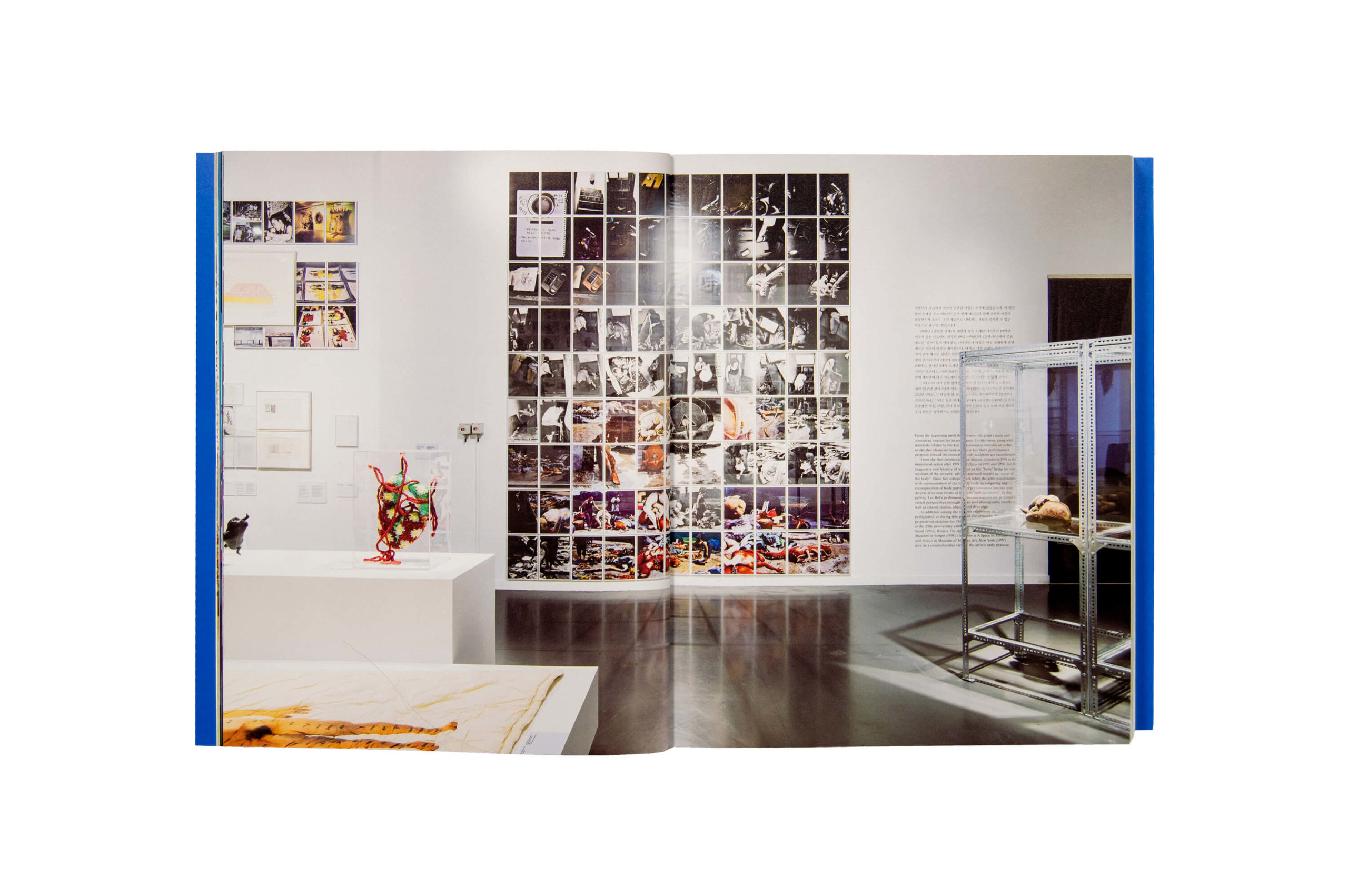 Product image of Lee Bul: Beginning