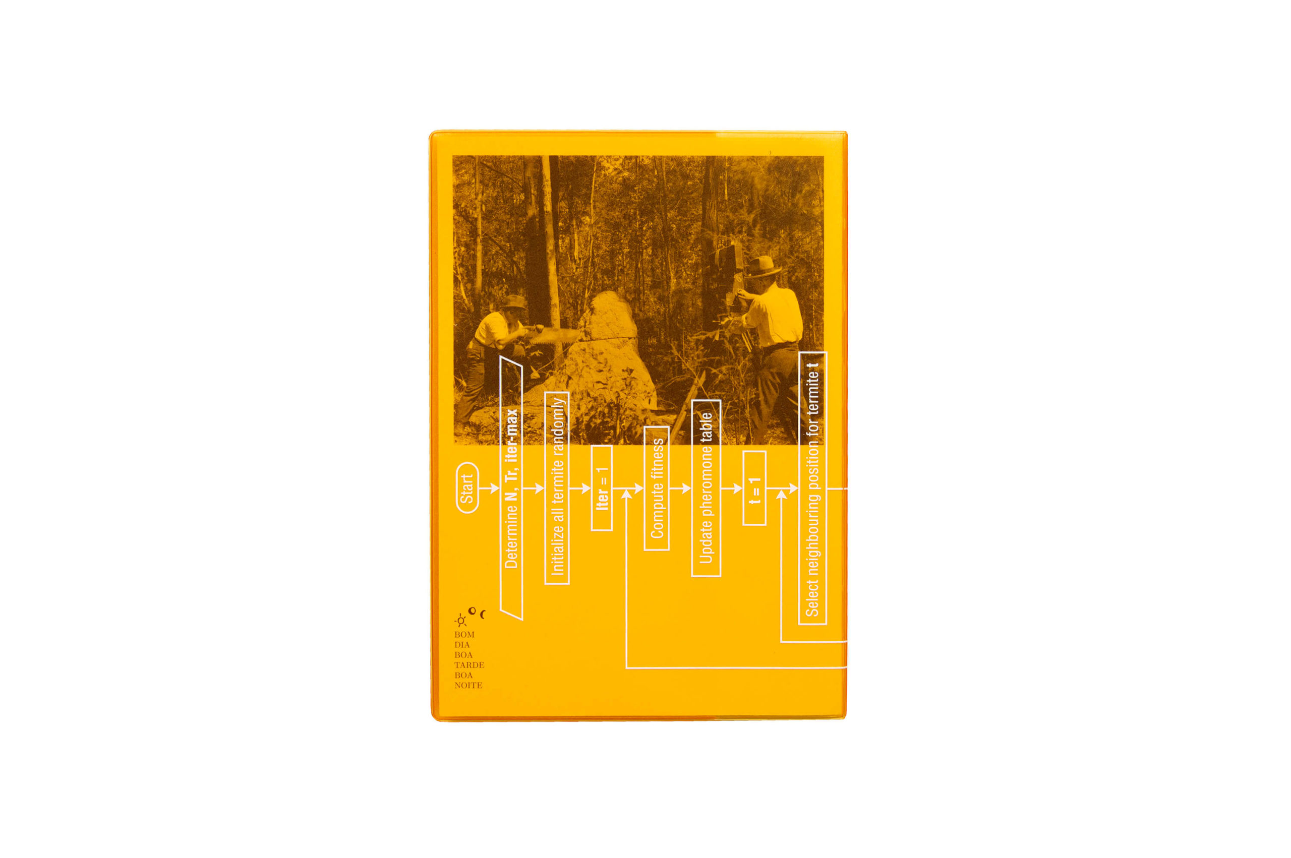 Product image of Termite Economies