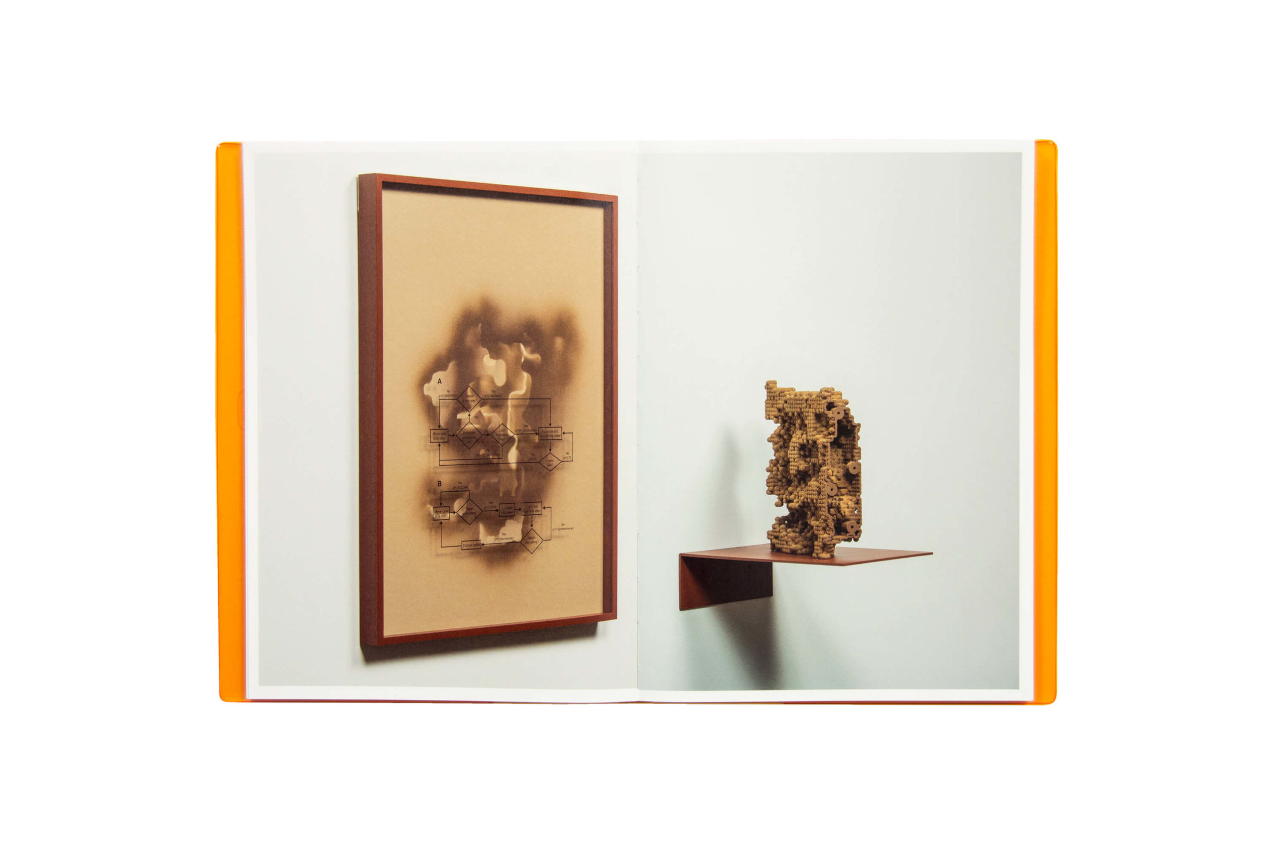 Product image of Termite Economies