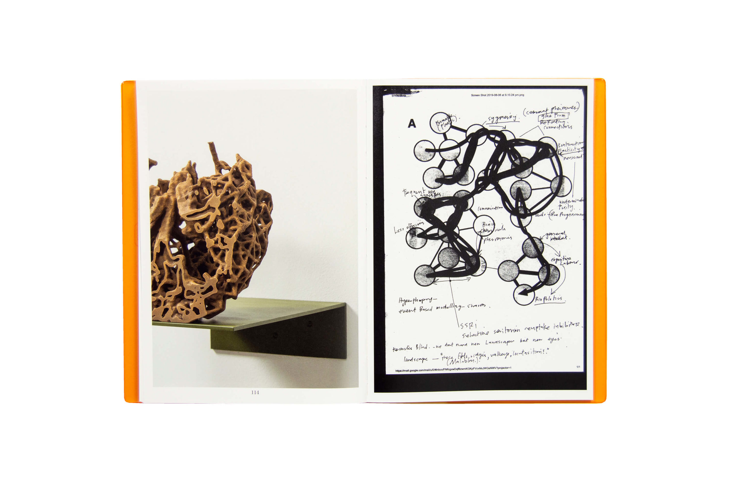Product image of Termite Economies