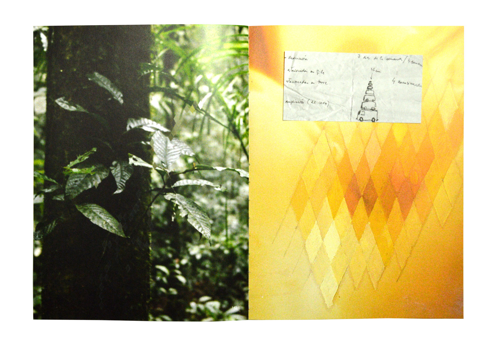 Product image of A Leaf Shapes the Eye by Daniel Steegmann Mangrané